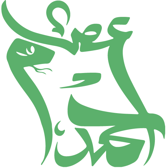 أحمد عصام